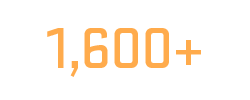 1,600+ security clients transparent numbers yellow