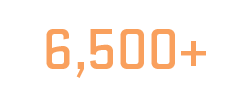 6,500+ Networking Clients